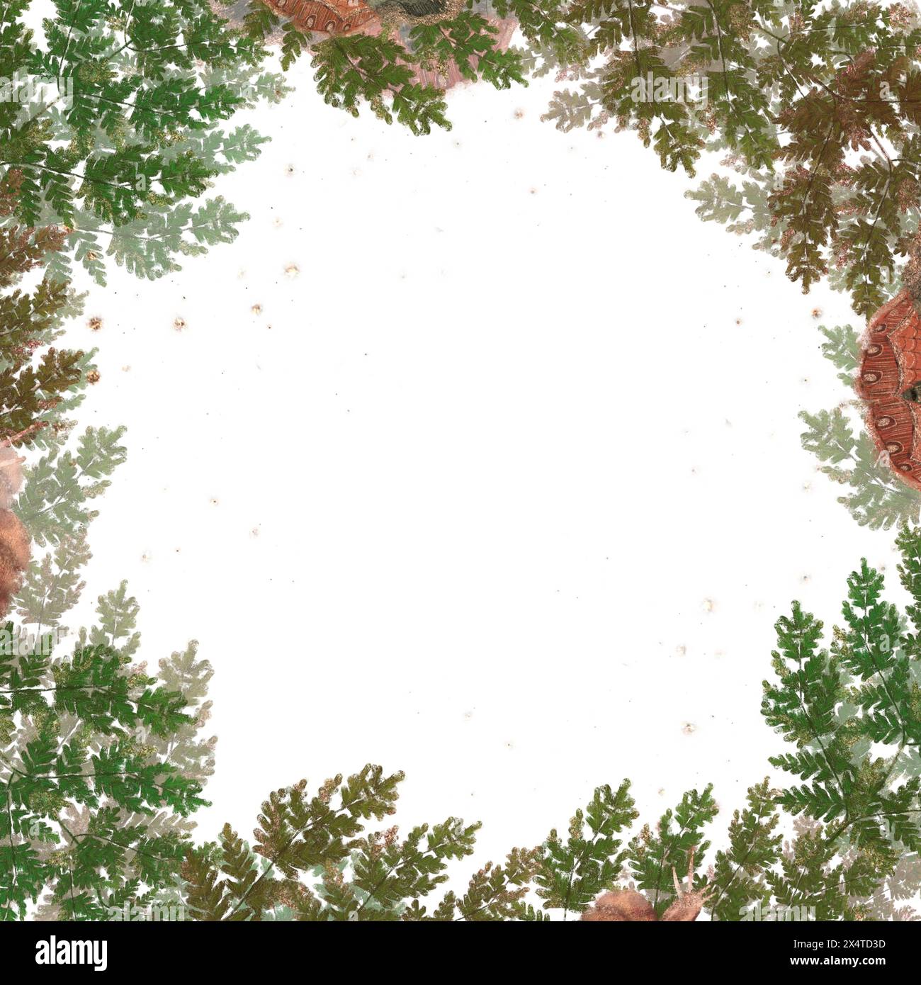 Fern Frame Graphics Square frame of green forest fern twigs, hand drawn clipart for ...