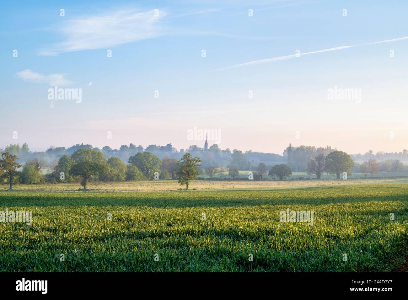 Early may morning across oxfordshire farmland. UK Stock Photo