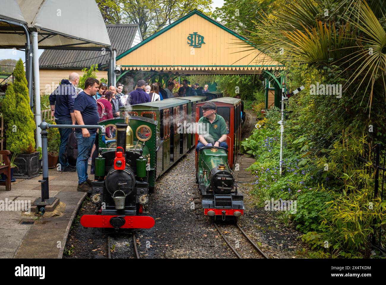 A volunteer drives The Railway Mission minature steam locomotive and its coal tender at South Downs Light Railway, Pulborough, UK Stock Photo