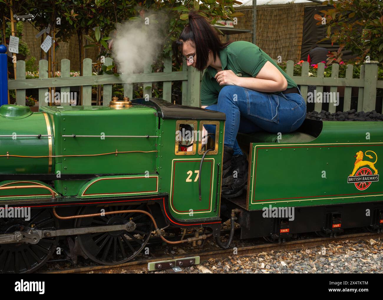 A volunteer drives The Railway Mission minature steam locomotive and its coal tender at South Downs Light Railway, Pulborough, UK Stock Photo