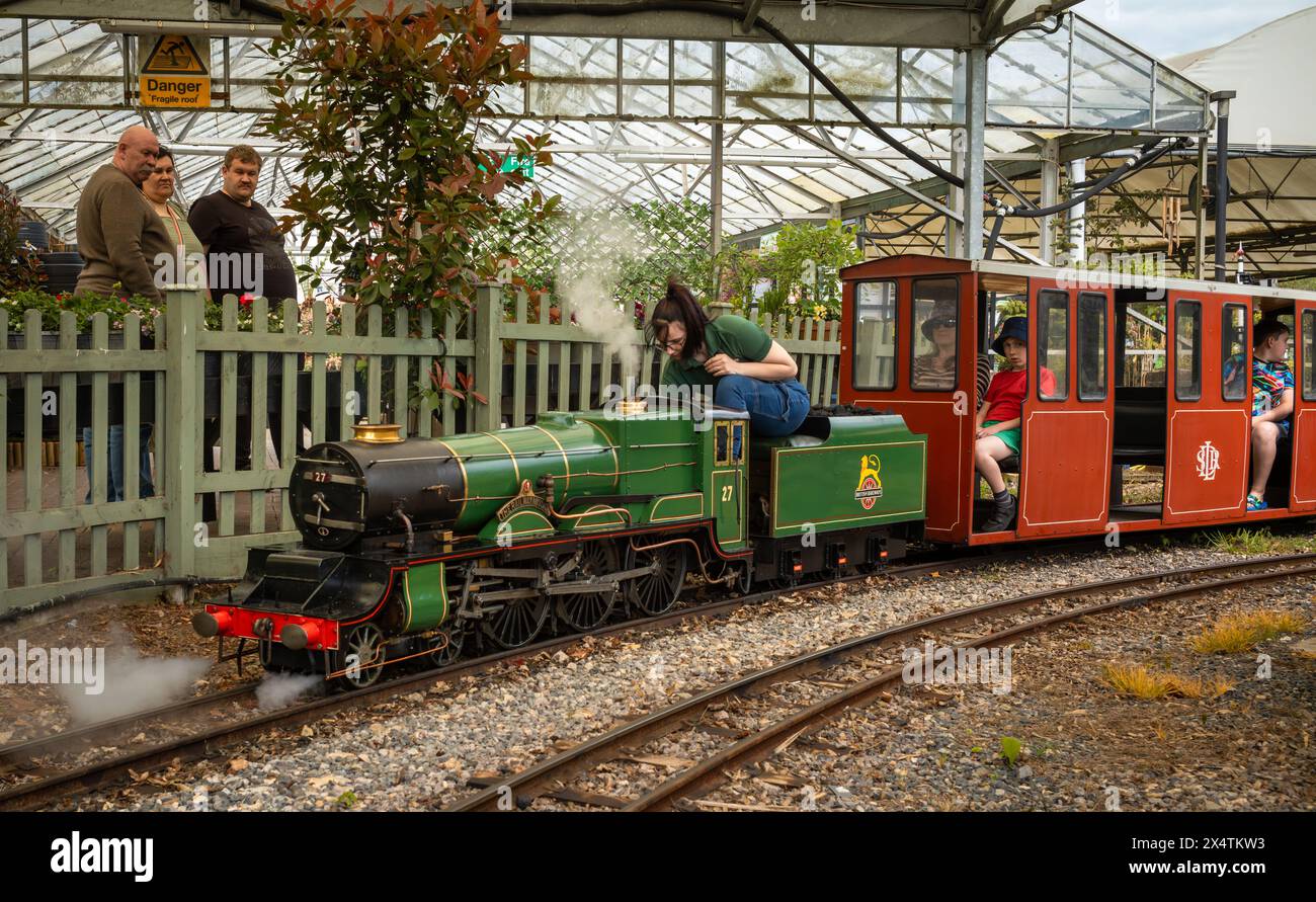 A volunteer drives The Railway Mission minature steam locomotive and its carriages at South Downs Light Railway, Pulborough, UK Stock Photo