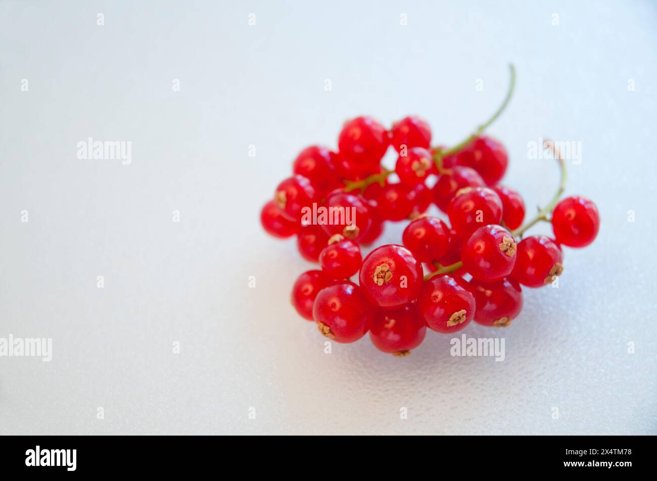 Redcurrant bunch. Close view. Stock Photo
