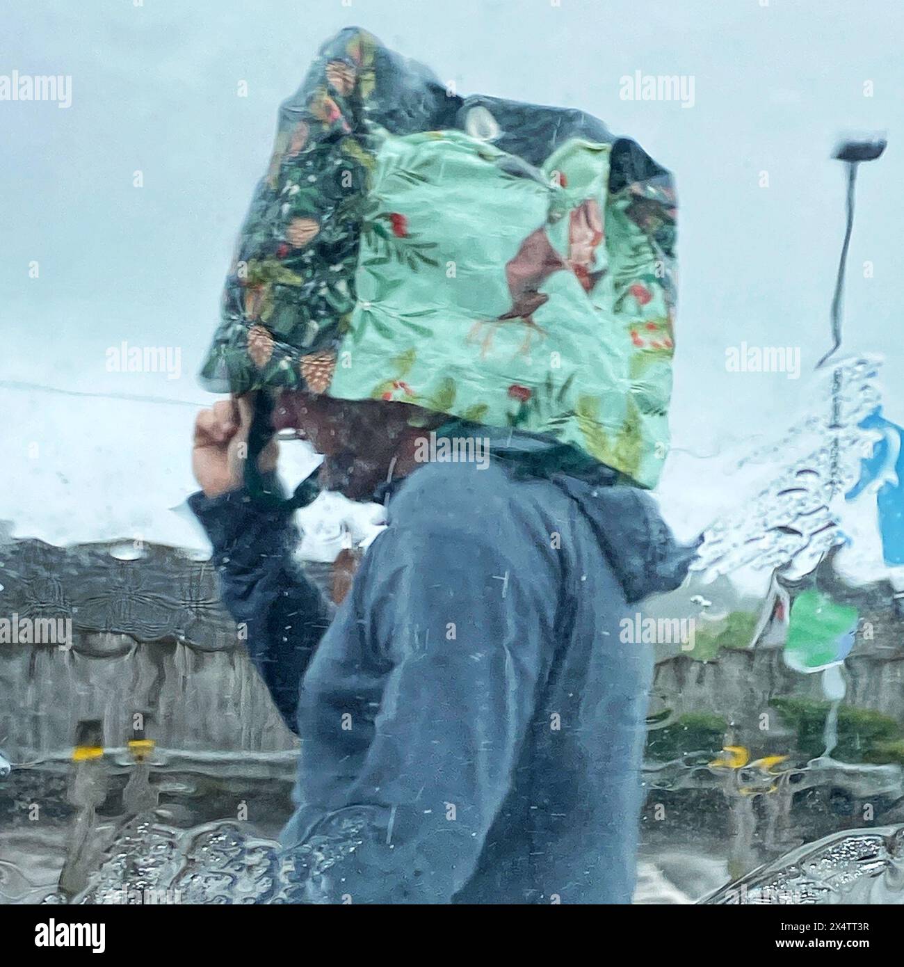 Dawlish, Devon, UK. 5th May, 2024. UK weather: Shopping bag improvised rain hat during downpours in Dawlish. Credit: nidpor/Alamy Live News Stock Photo