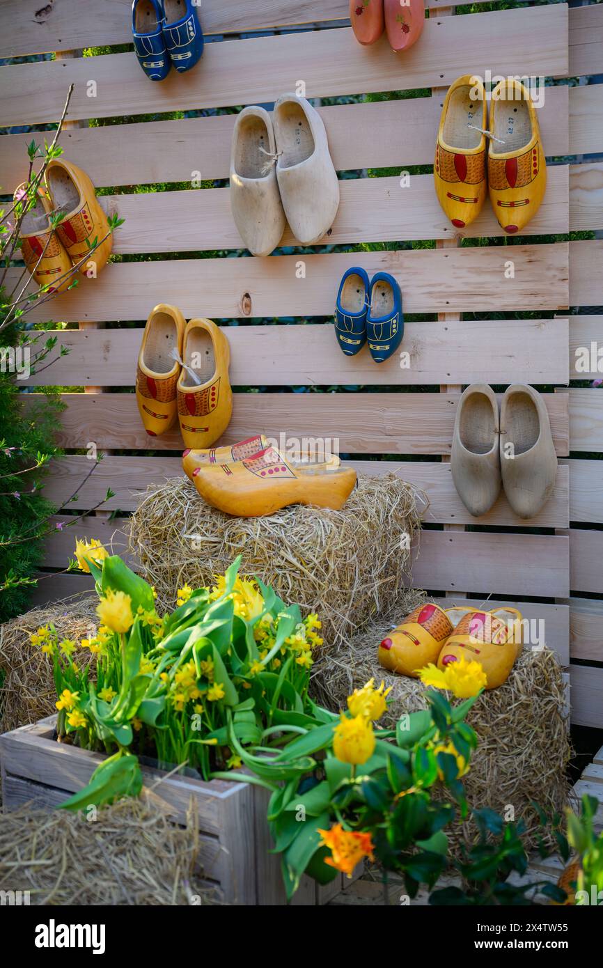 Dutch clogs on display at Tulipmania 2024 @ The Flower Dome, Gardens by the Bay, Singapore Stock Photo