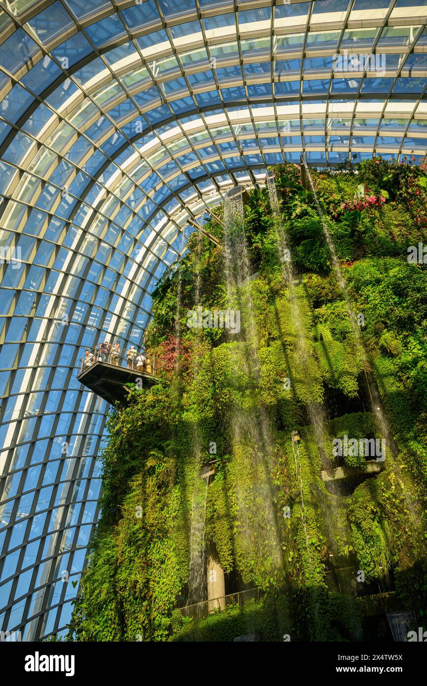 Looking up at the waterfall, Cloud Forest, Gardens By the Bay, Singapore Stock Photo