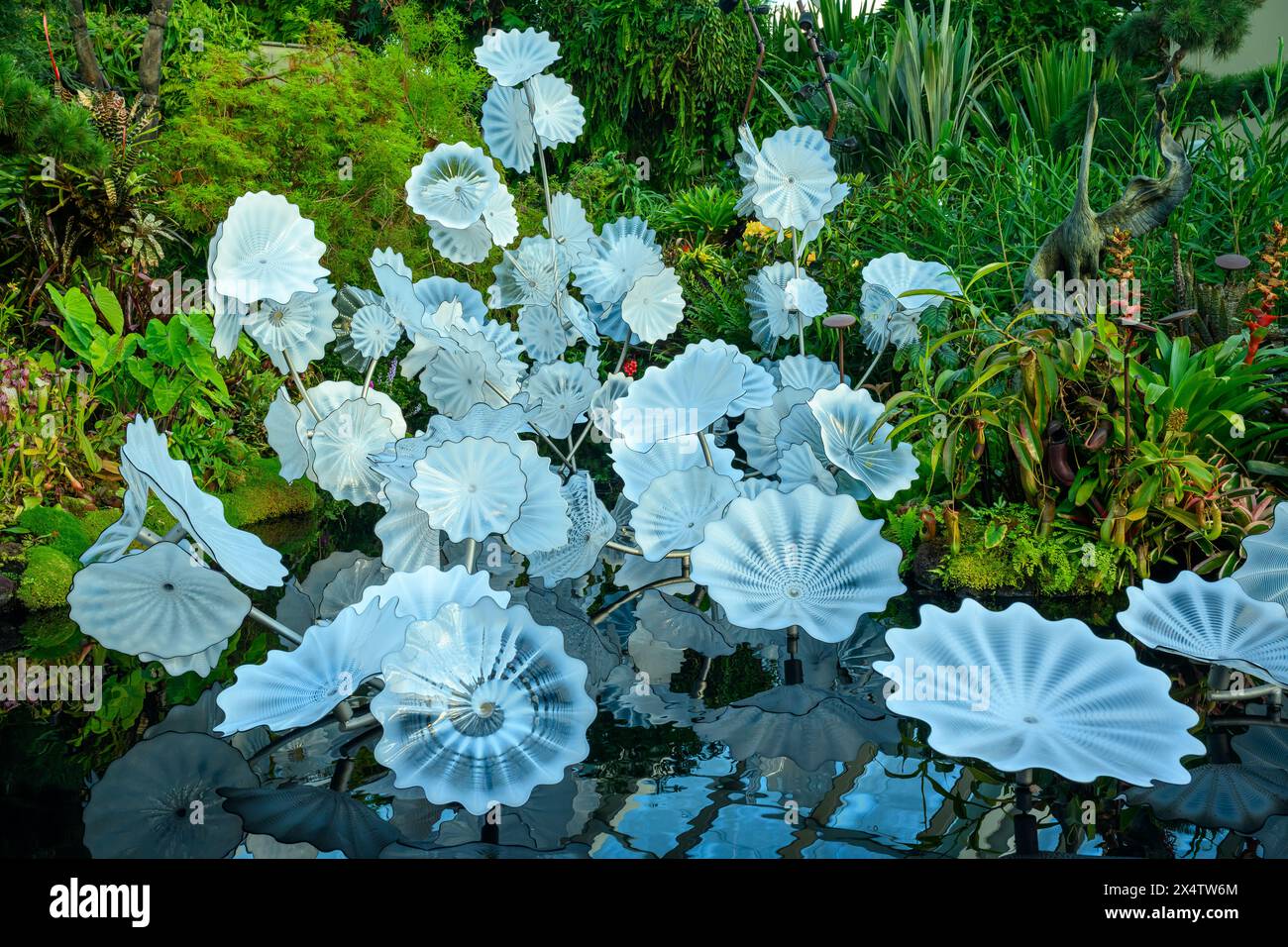 The Ethereal White Persians at the Cloud Forest, Gardens By the Bay, Singapore Stock Photo