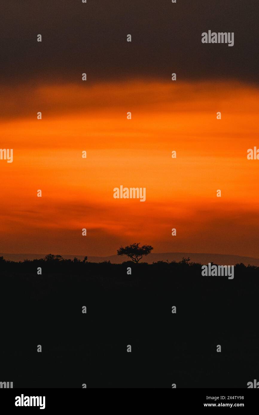 Masai mara plains sunset hi-res stock photography and images - Alamy