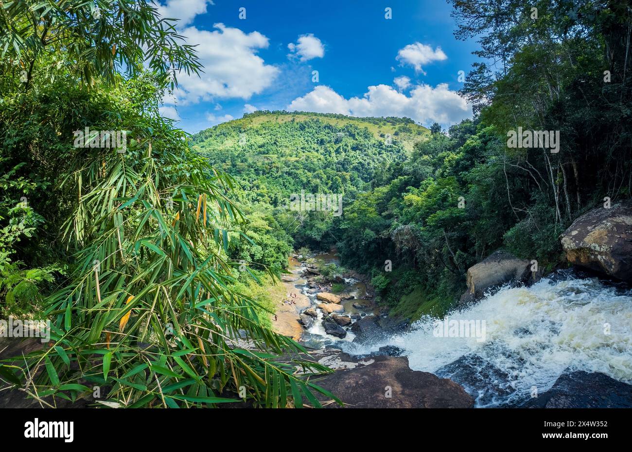 Lush Green Rainforest Landscape with Cascading River Stock Photo - Alamy