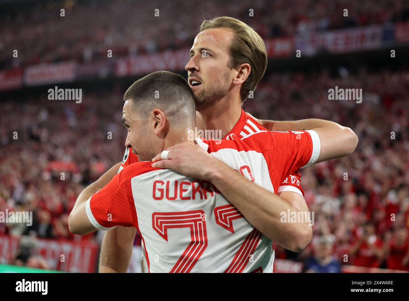MUNICH, GERMANY - APRIL 30: Harry Kane of Bayern Muenchen celebrates as he scores the goal 2:1 with Raphael Guerreiro of Bayern Muenchen  during the UEFA Champions League semi-final first leg match between FC Bayern München and Real Madrid at Allianz Arena on April 30, 2024 in Munich, Germany. © diebilderwelt / Alamy Stock Stock Photo