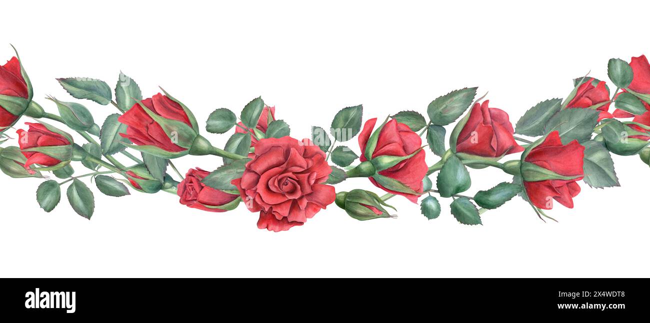 Seamless border with red roses. Scarlet flowers with green leaves ...