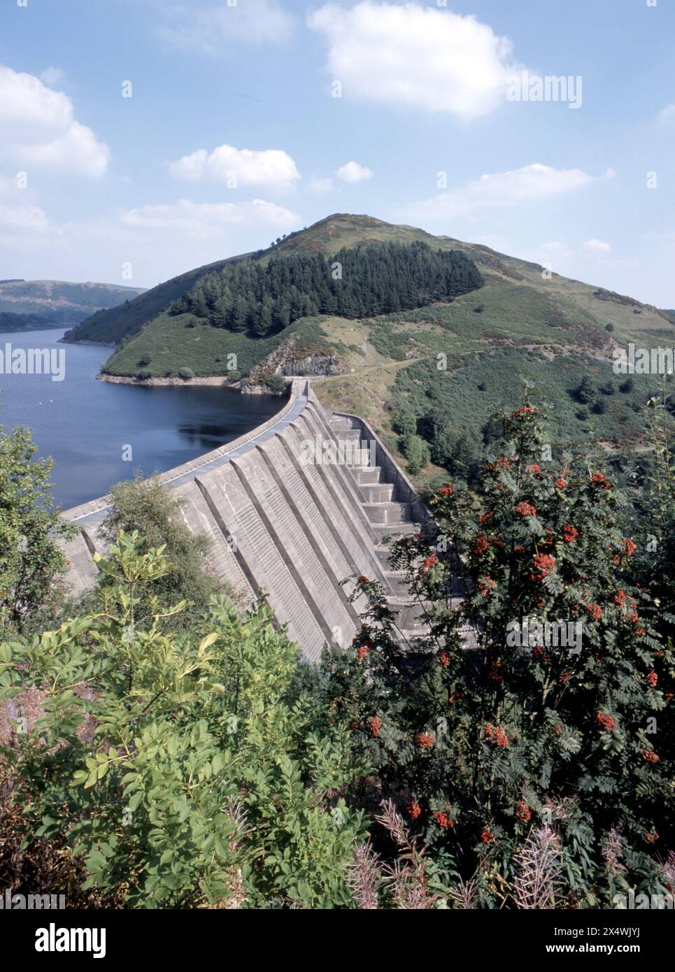 Llyn Clywedog, Clywedog Reservoir, was formed by a concrete buttress