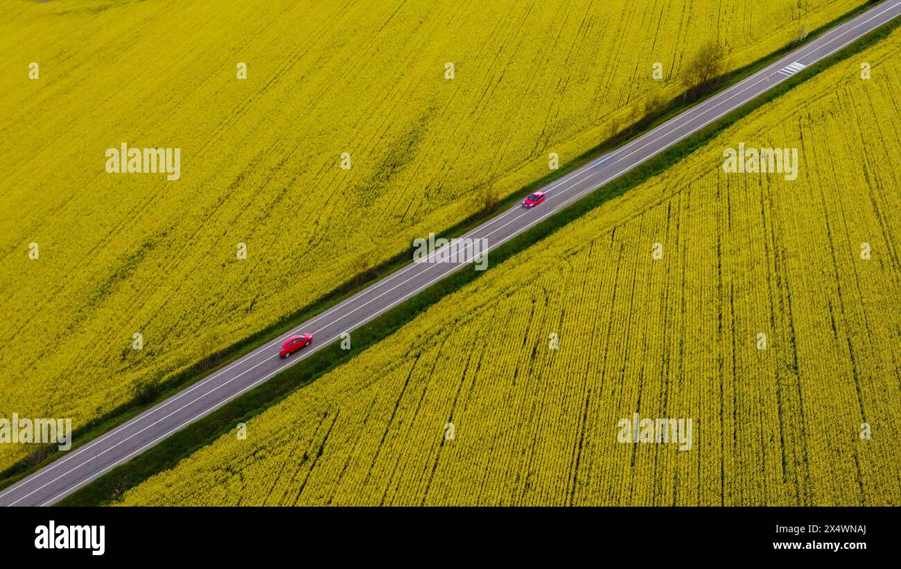 Aerial view of two cars driving along a straight road between rapeseed fields, Spinetta Marengo, Piedmont, Italy Stock Photo