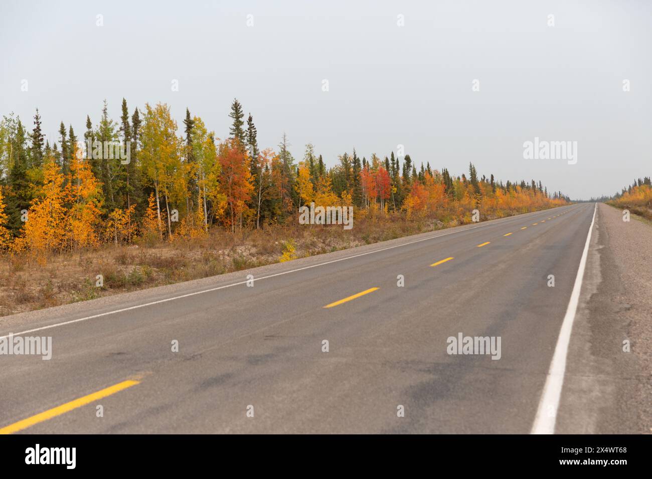 Highway 3 heading towards Yellowknife, Northwest Territories, Canada, after the reopening of the city, following a 3-week long wildfire evacuation. Stock Photo