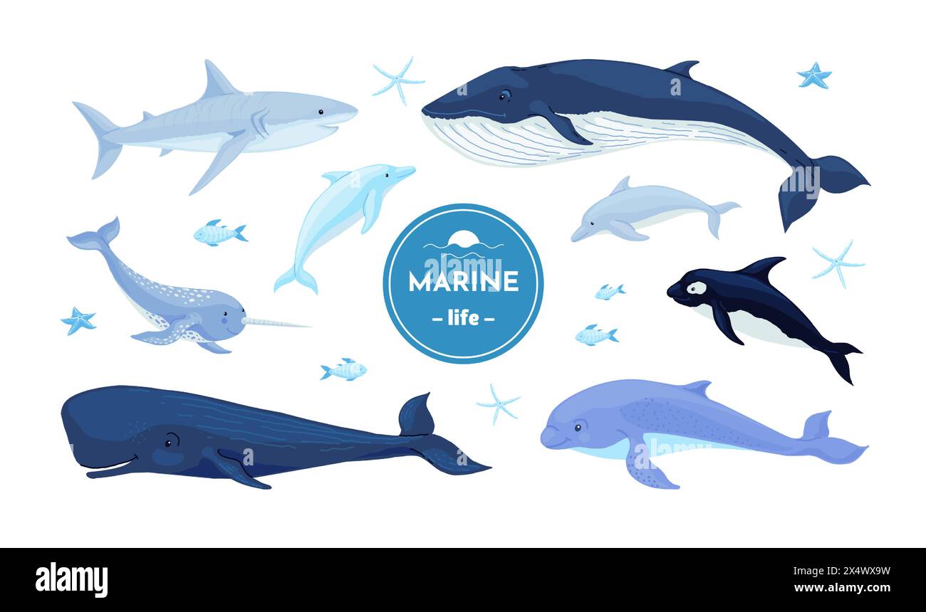 Blue whales. Dolphin, shark and narwhal underwater fish, Nordic marine or ocean water hunting in wildlife. Childish nursery decor collection. Different mammals. Vector cartoon isolated illustration Stock Vector