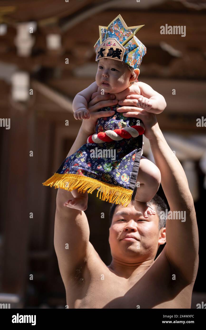 Crying Baby Is Being Lifted In The Air By A Sumo Wrestler During crying-baby-is-being-lifted-in-the-air-by-a-sumo-wrestler-during
