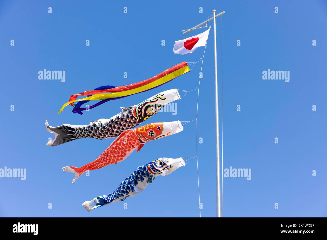 Traditional Children's day decoration (carp streamers) with a Japanese