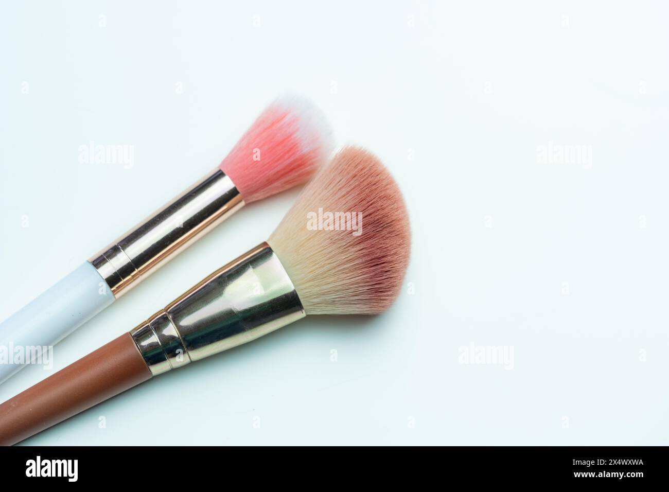 Close-up view of two makeup brushes. One makeup brush with pink bristles and a white handle, and the other with brown bristles and a brown handle Stock Photo