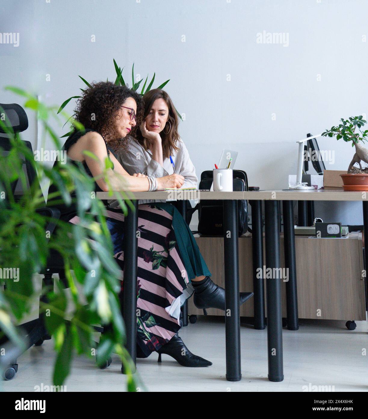 Two businesswomen working together in an office Stock Photo - Alamy
