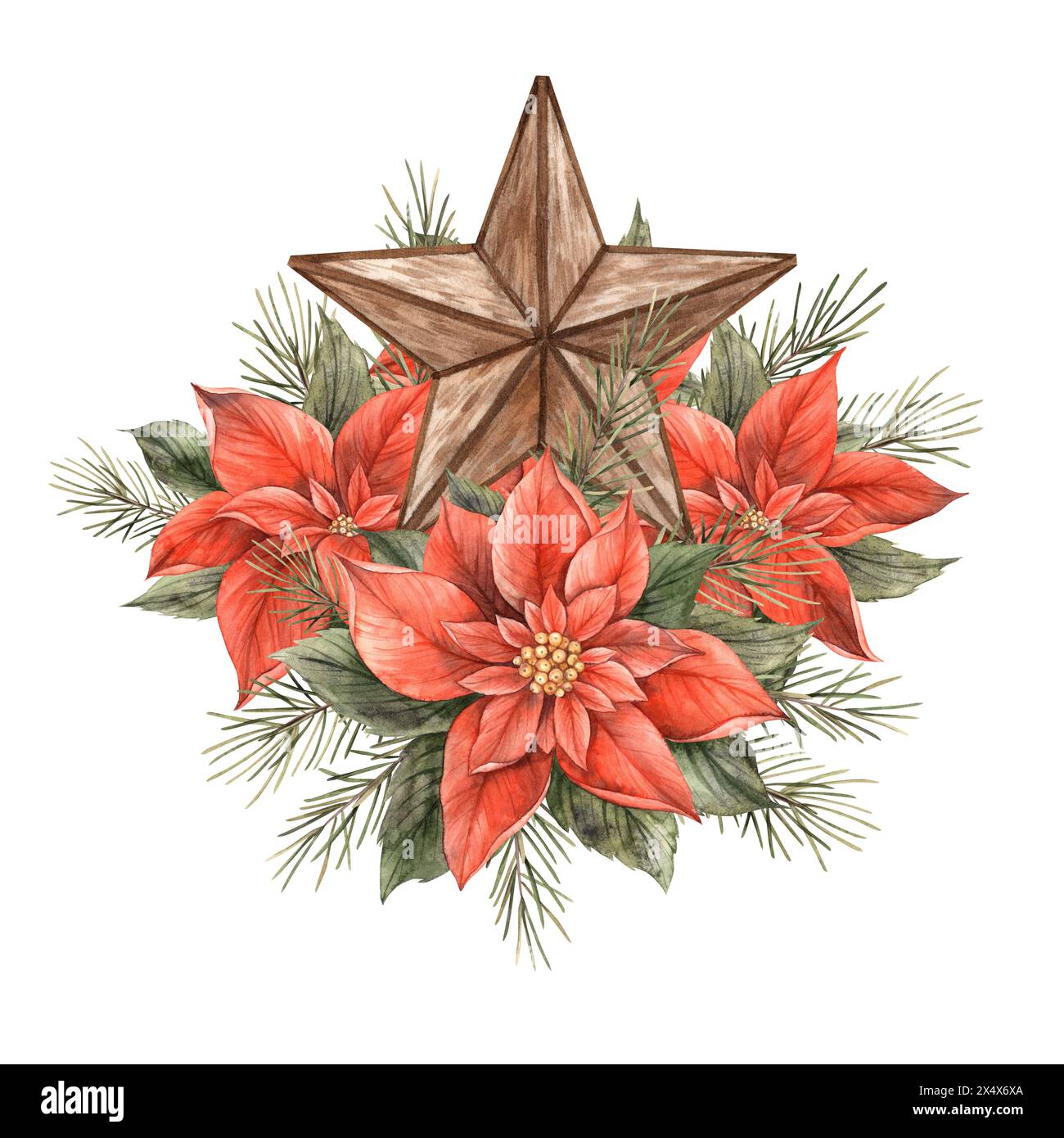Poinsettia, fir branch, five-pointed copper star. Watercolor illustration in vintage style. Drawing for Christmas and New Year's holidays, invitations Stock Photo
