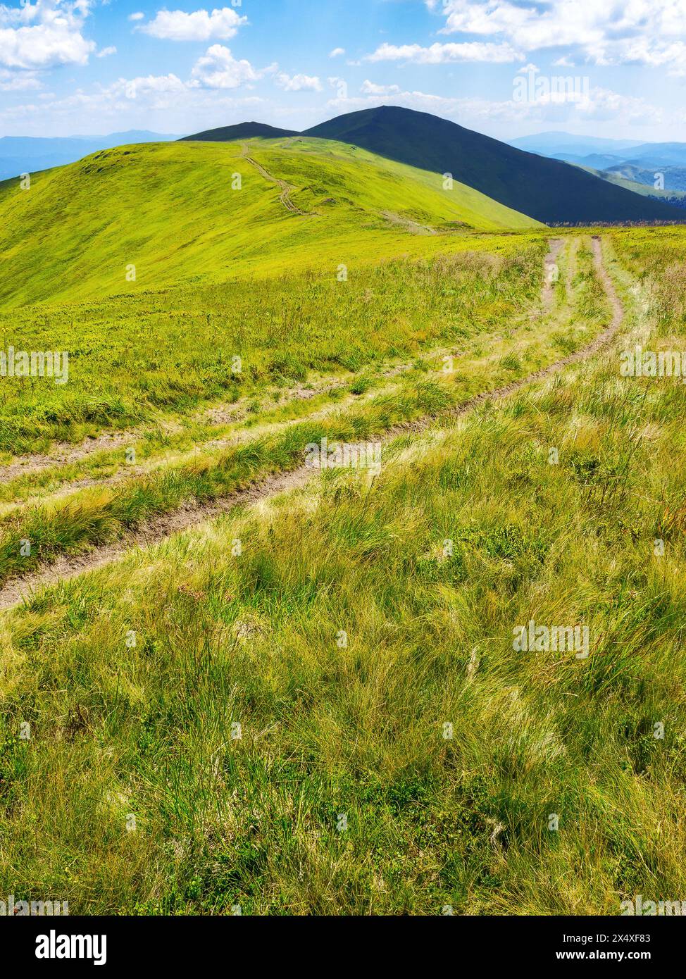 trail path through borzhava ridge of ukrainian carpathian mountain range in summer. grassy hills and alpine meadows on a sunny day. popular travel des Stock Photo