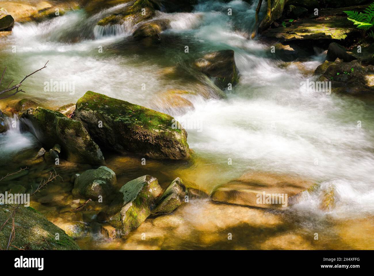 closeup of a small rapid brook among mossy rocks in dappled light. beautiful nature background in summertime. long exposure Stock Photo