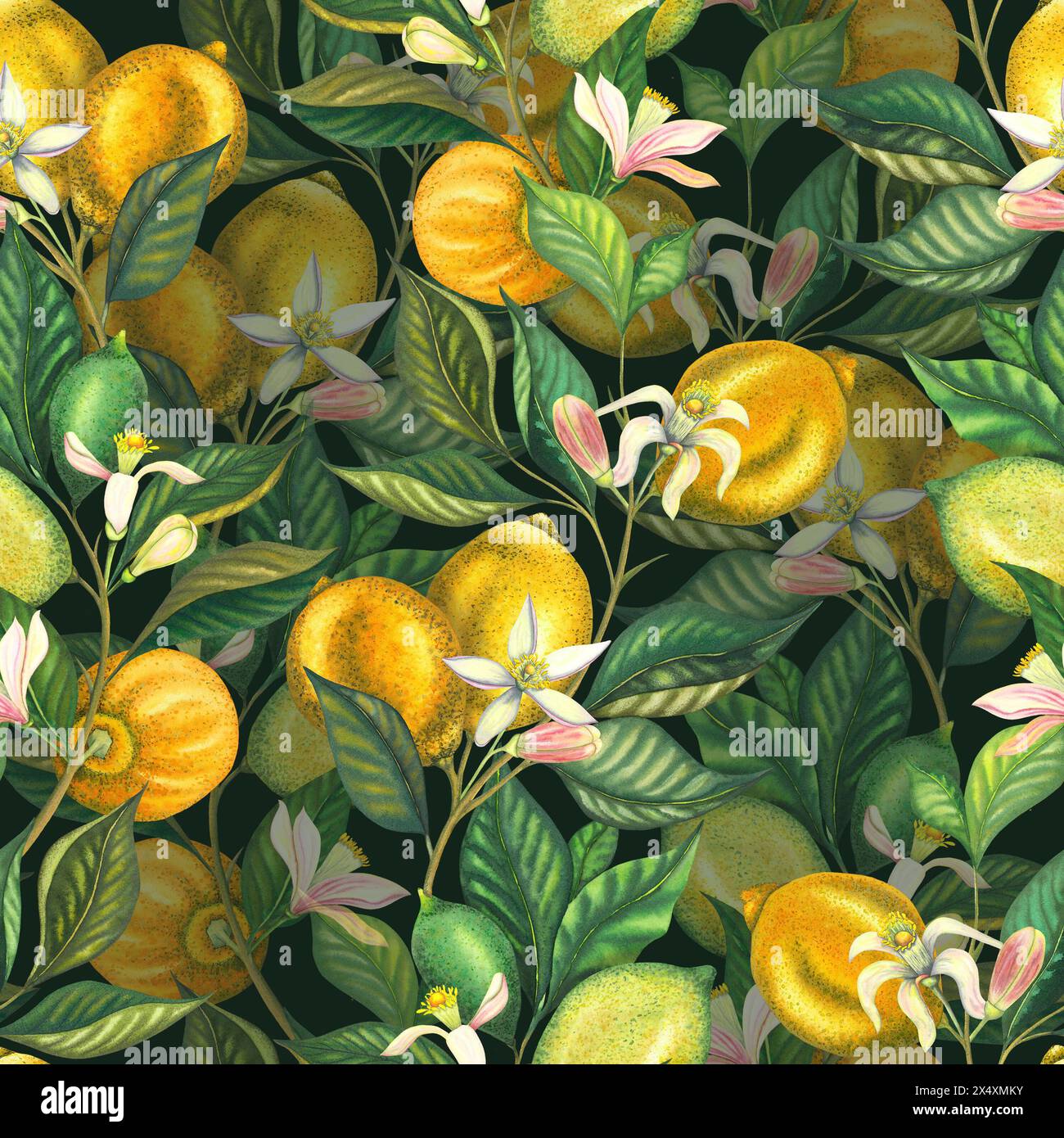 Watercolor seamless pattern with blooming lemons and lime branch with ...