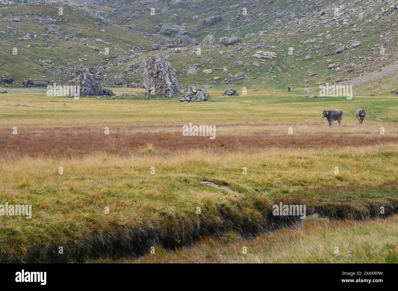 Western Valleys Natural Park in the Pyrenees of Huesca, Spain Stock Photo