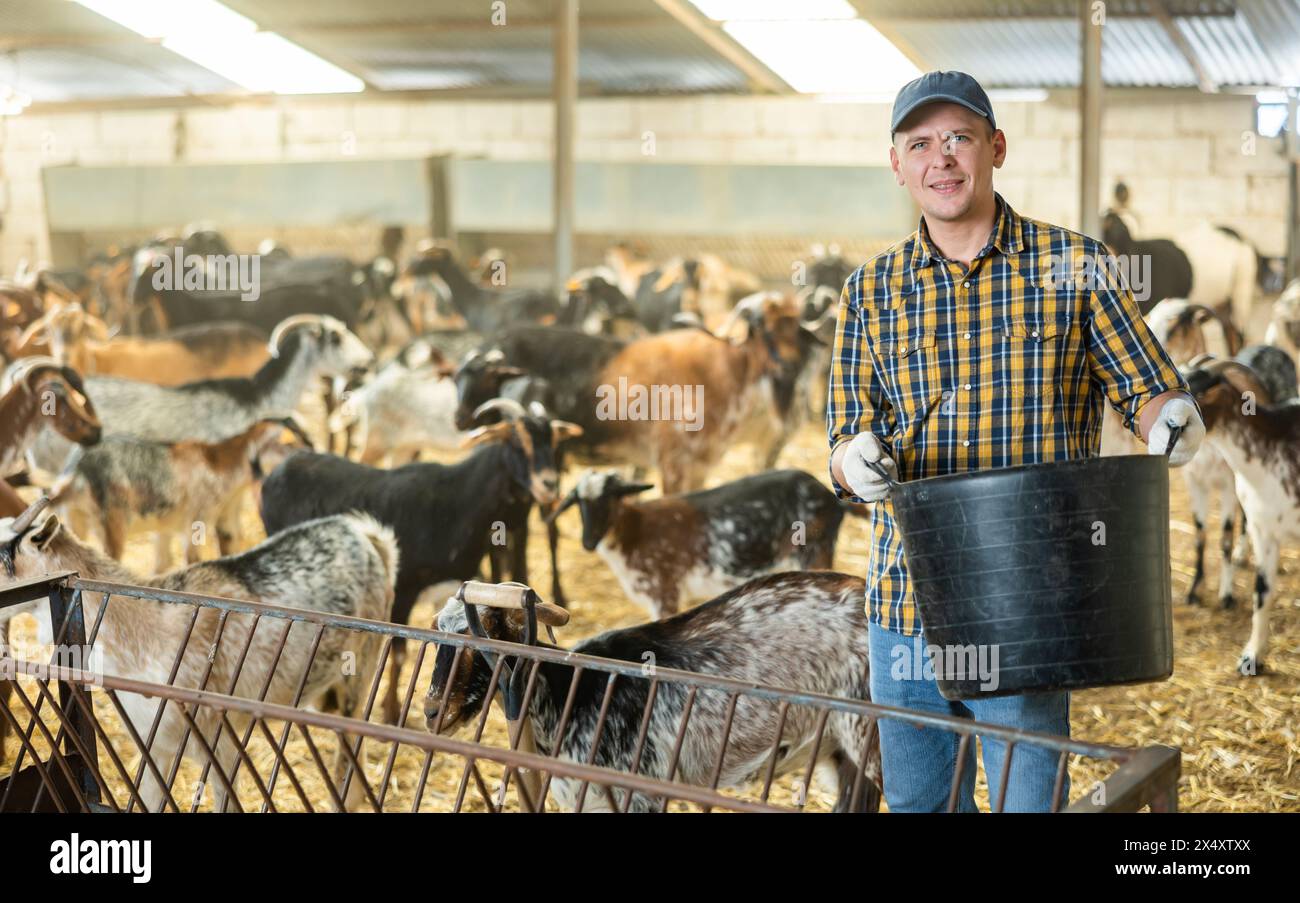 Goat farmer pail hi-res stock photography and images - Alamy
