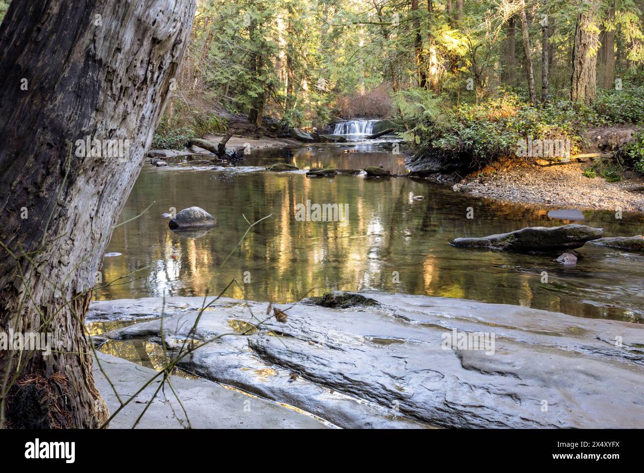 Whatcom Falls Park, Washington, Usa Stock Photo - Alamy