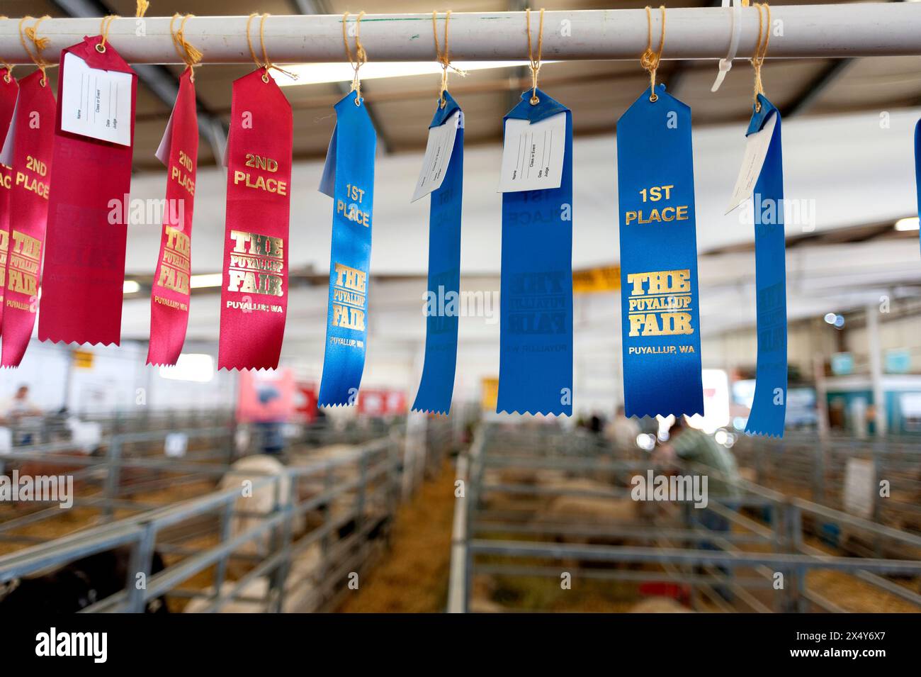 State fair competition award ribbons. Stock Photo