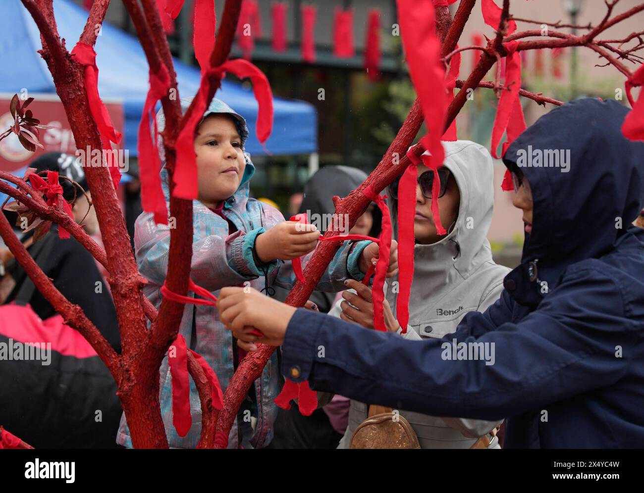 New Westminister, Canada. 5th May, 2024. People tied red ribbons on a tree during the Red Dress Day ceremony in New Westminster, British Columbia, Canada, on May 5, 2024. May 5 is the National Day of Awareness for Missing and Murdered Indigenous Women and Girls, also known as Red Dress Day, in Canada. Credit: Liang Sen/Xinhua/Alamy Live News Stock Photo