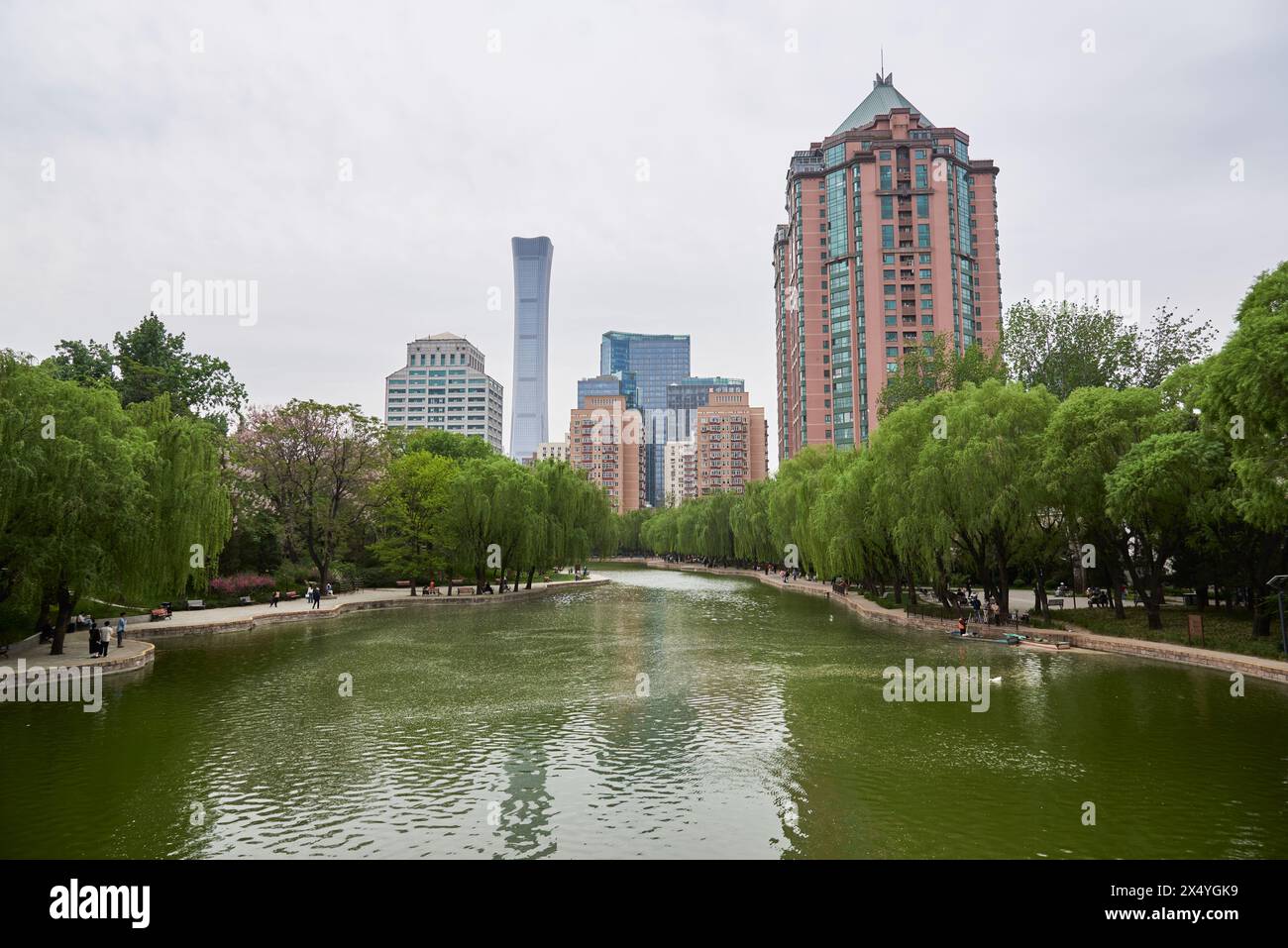 Scenery of Tuanjiehu public city park in spring, in Chaoyang district of Beijing, capital of China, with skyscrapers of Central Business District in t Stock Photo
