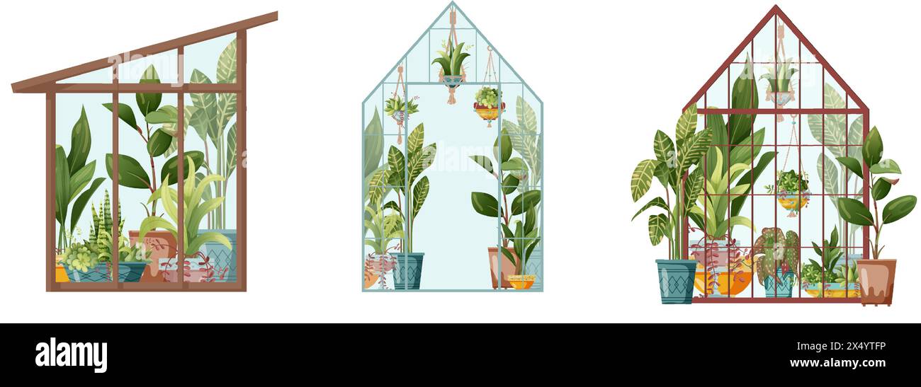 Houseplant and macrame plant growing in pots. Greenhouse, flower rack ...