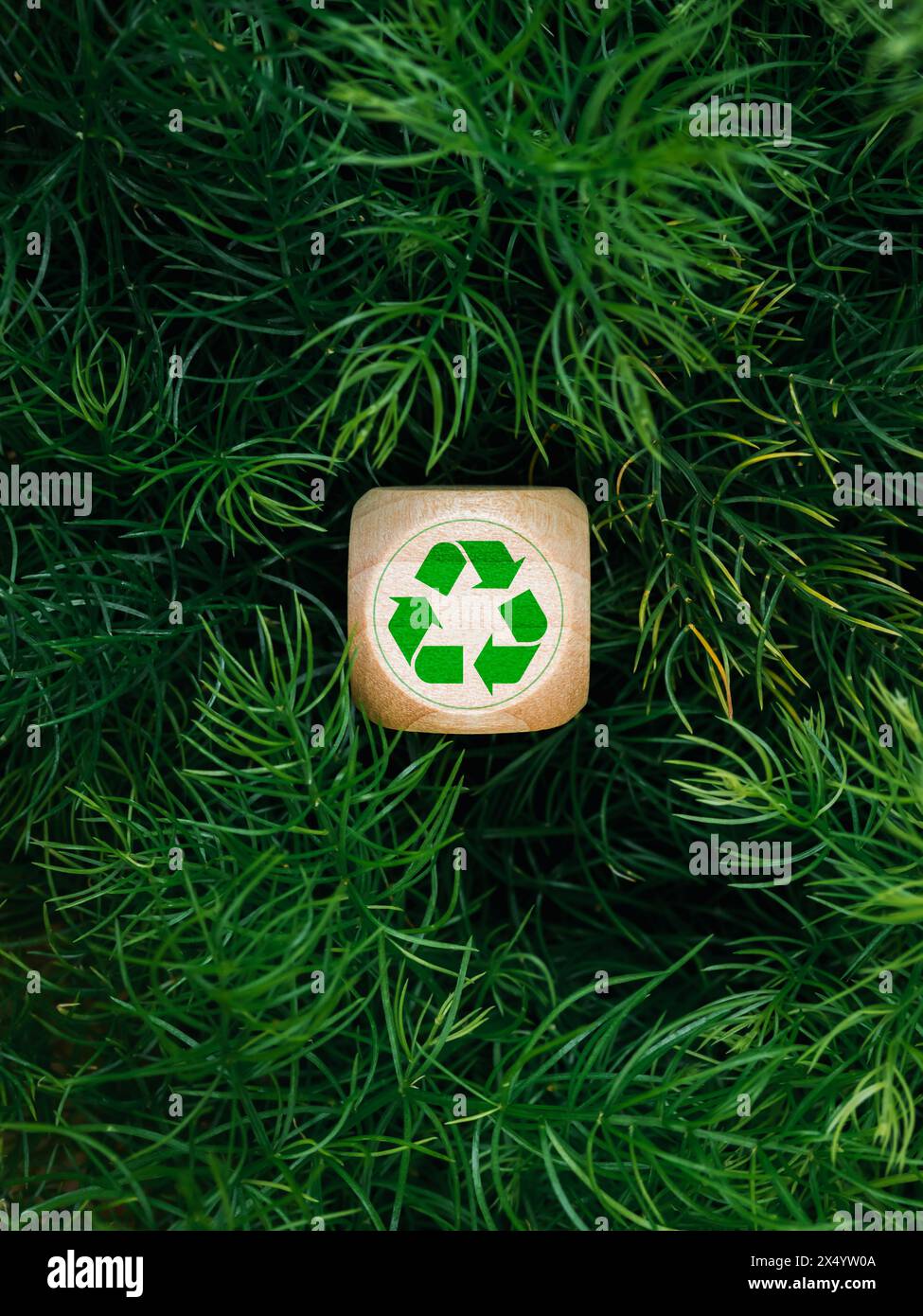 Green recycle icon on wooden block on green leaves background, vertical ...