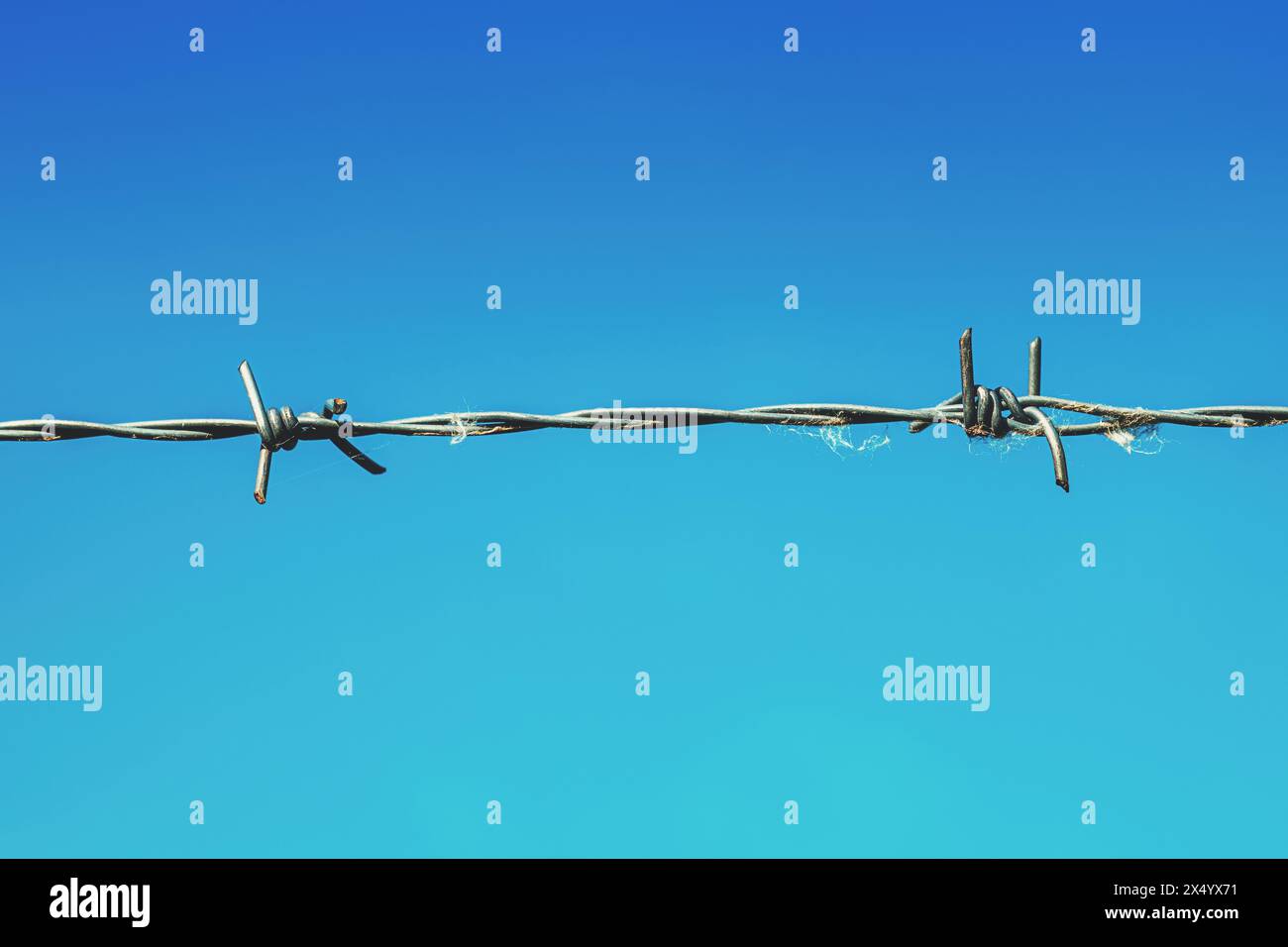 Sharp barbed wire against blue sky, containment and imprisonment concept, selective focus Stock Photo