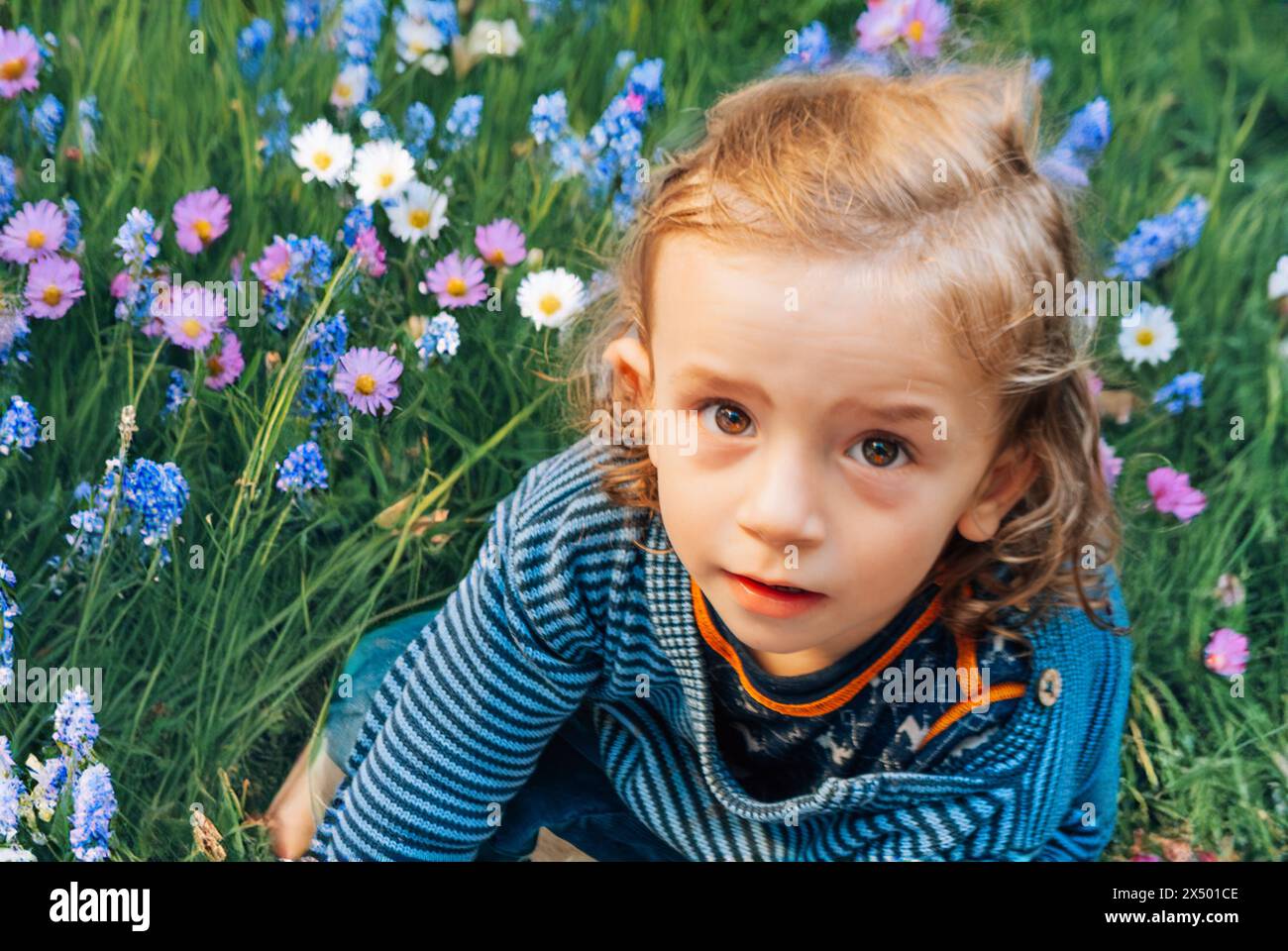 Little blond long-haired boy sitting in a meadow among daisies and other wildflowers and looking at camera Stock Photo