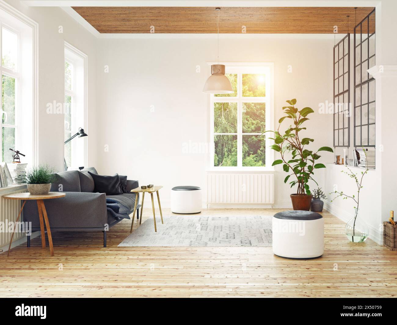 modern scandinavian living room design Stock Photo - Alamy