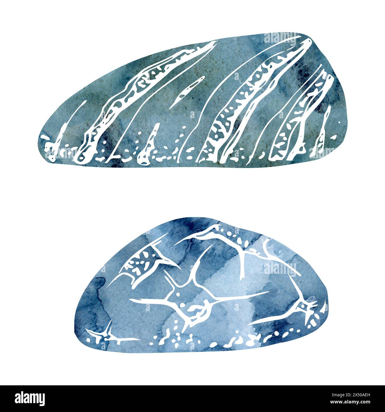 Watercolor and ink hand drawn marine life, sea ocean underwater creatures. fish, shells algae seaweed. Single object illustration, stylized, isolated Stock Photo