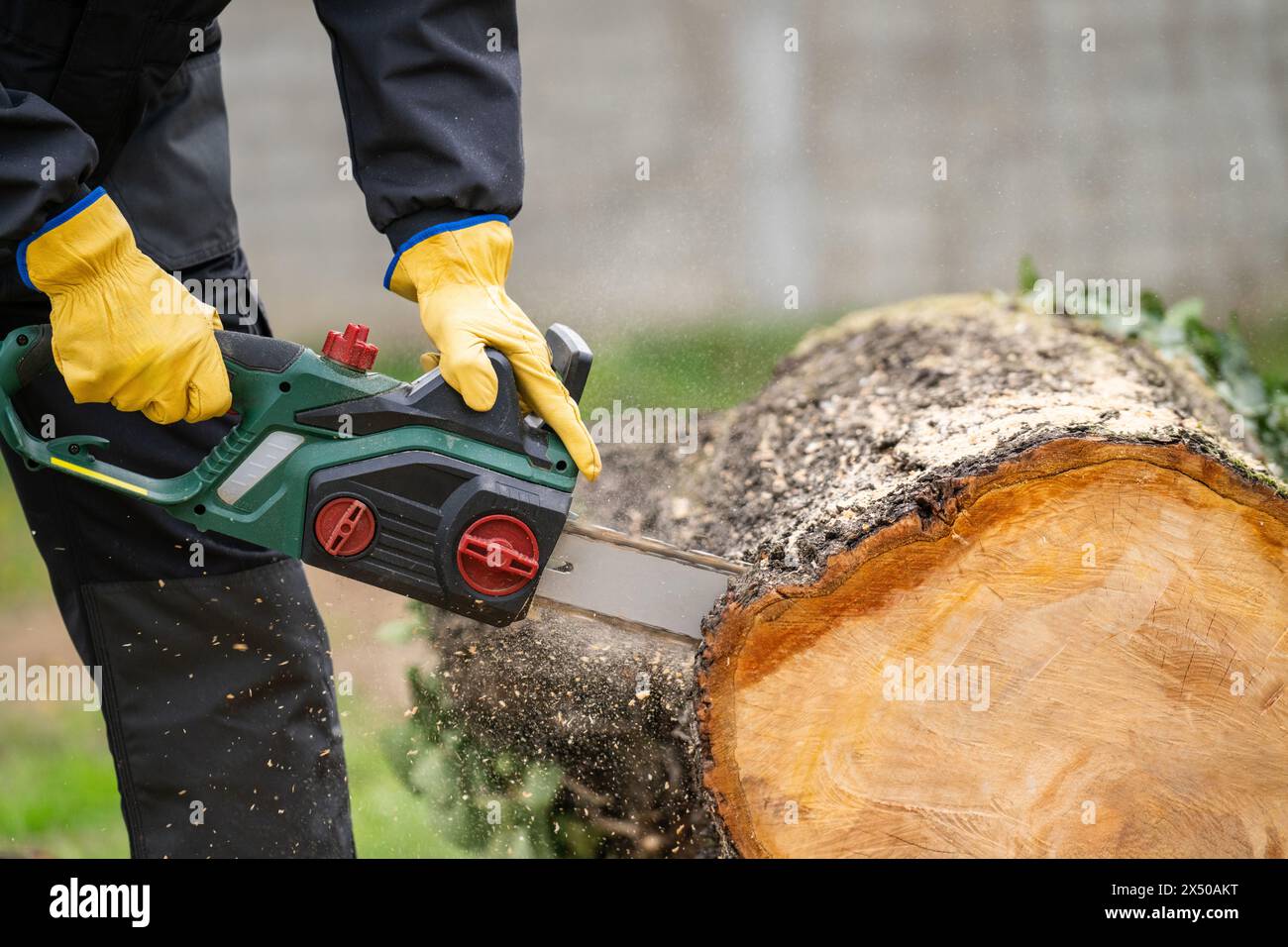 A man in uniform cuts an old tree in the yard with an electric saw Stock Photo