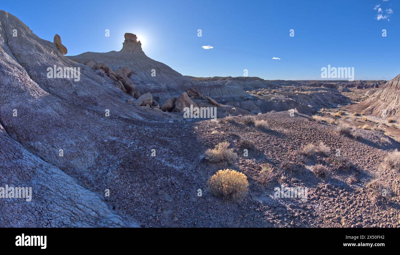 Rock Hoodoo in badlands near Hamilili Point on the south end of Petrified Forest National Park, Arizona, USA Stock Photo