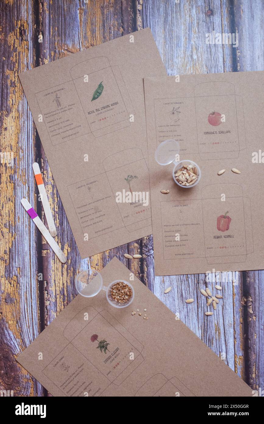 Overhead view of melon and zinnias seeds and growing instructions on a weathered wooden table Stock Photo
