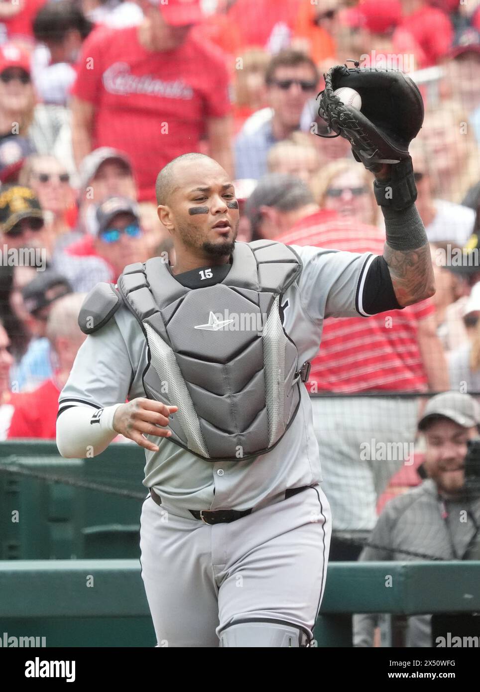 St. Louis, United States. 05th May, 2024. Chicago White Sox catcher Martin Maldonado shows the baseball after making a catch in foul territory on a ball hit by St. Louis Cardinals Masyn Winn in the third inning at Busch Stadium in St. Louis on Sunday, May 5, 2024. Photo by Bill Greenblatt/UPI Credit: UPI/Alamy Live News Stock Photo