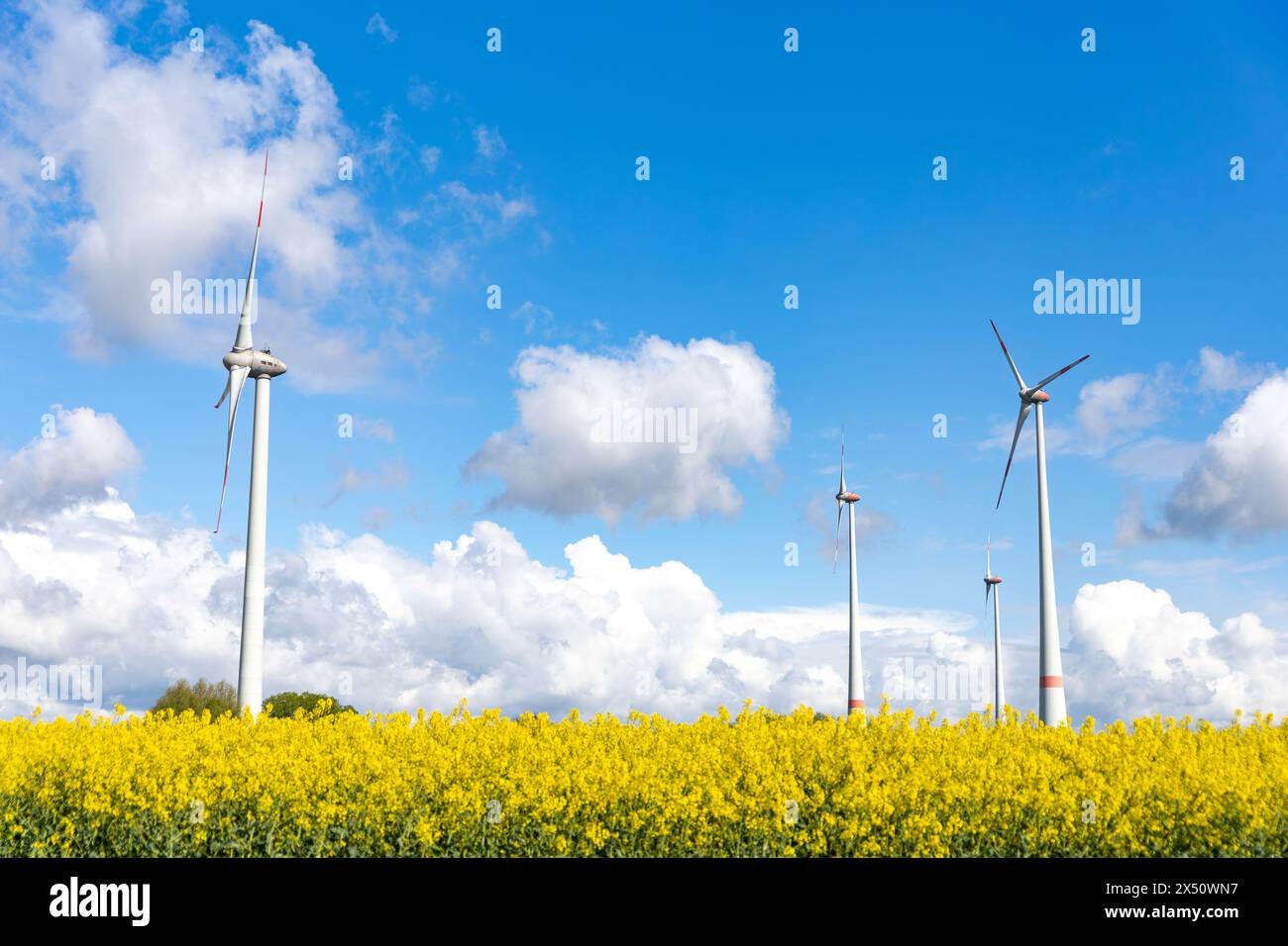 Windmills in a field Stock Photo