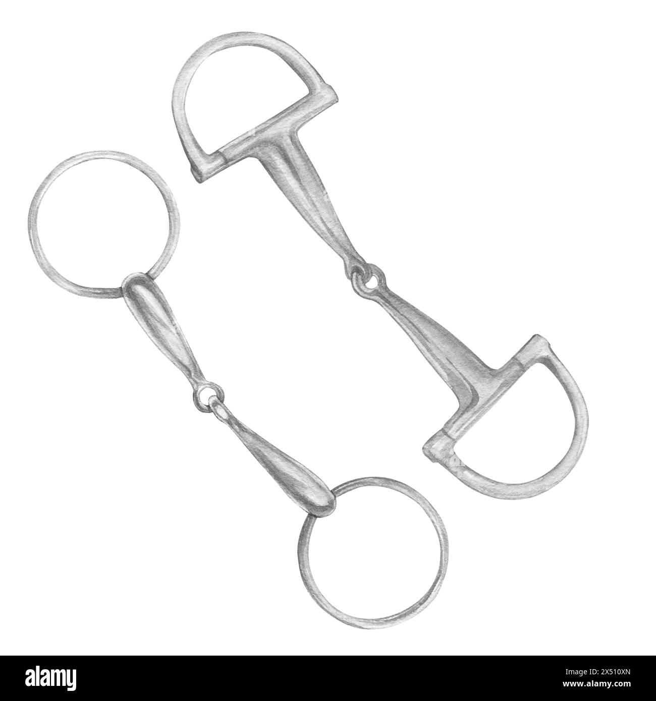 Watercolor illustration of silver snaffle, bit with D-Ring and circle rings. Equipment for horse riding metal set. Isolated. For cards, prints, decor Stock Photo