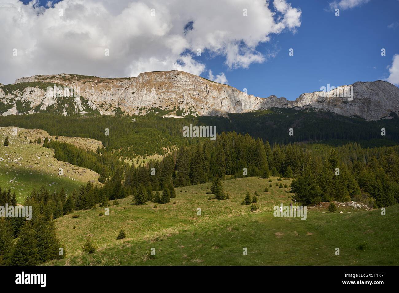 Rocky mountain peaks above hills covered in pine forests Stock Photo