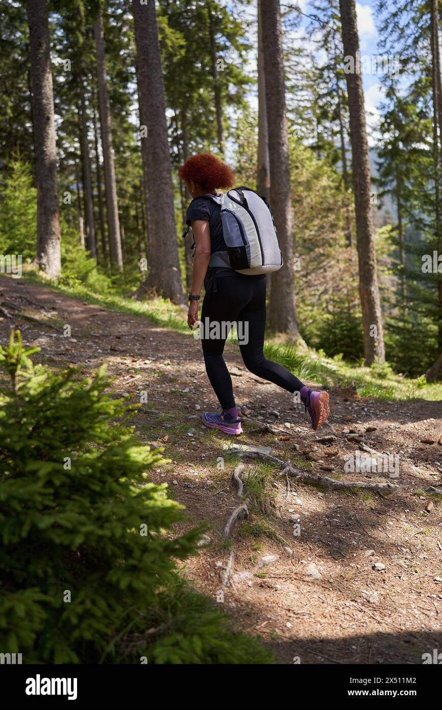 Woman with backpack hiking on a trail in the pine forest on a mountain Stock Photo