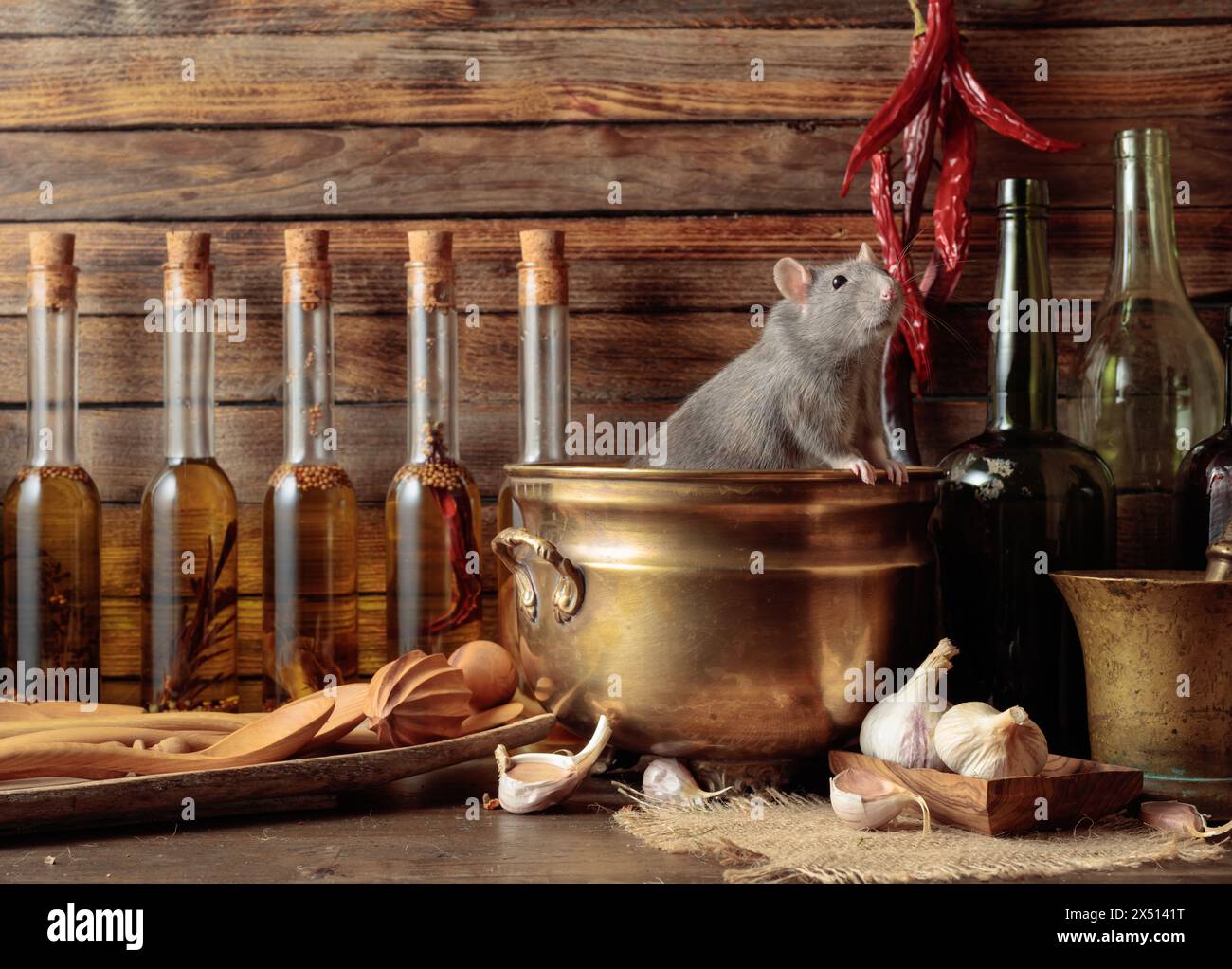 Rat on a table with old kitchen utensils in a wooden shed Stock Photo ...