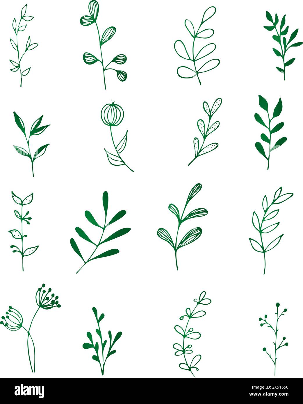 Vector collection of hand drawn plants. Botanical set of sketch flowers and branches. Stock Vector