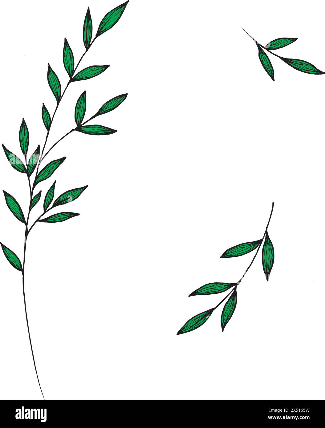 Vector Branches Vector branches and leaves. Hand drawn floral elements. Vintage ...