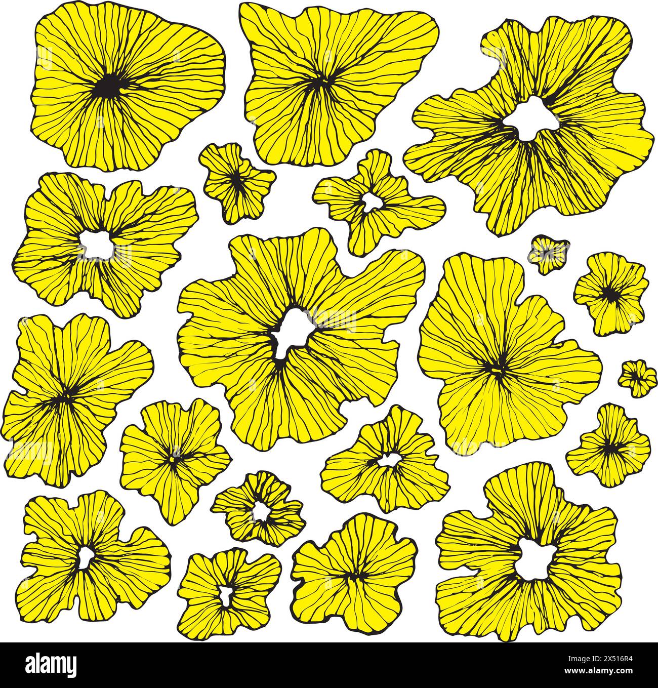 Seamless floral pattern with hand drawn flower garden elements on an ...